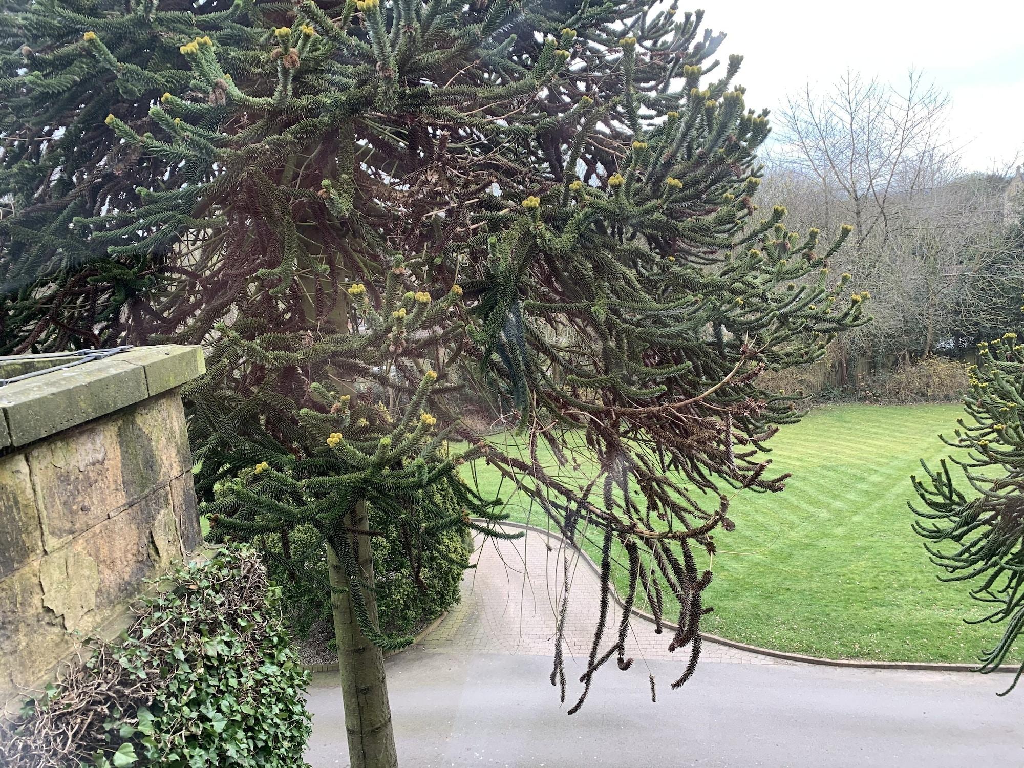 Best Western Plus Sheffield Mosborough Hall Hotel Εξωτερικό φωτογραφία